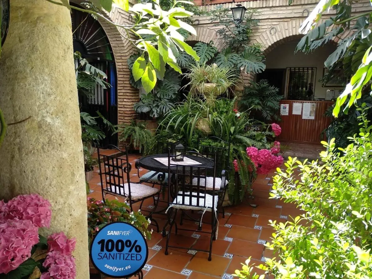 Pension Los Arcos Córdoba Gasthuis