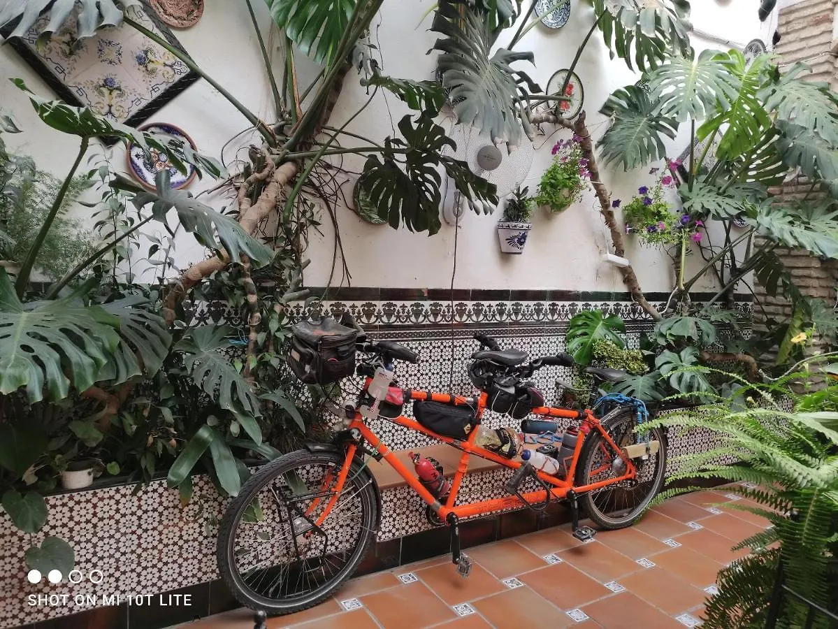 Gasthuis Pension Los Arcos Córdoba