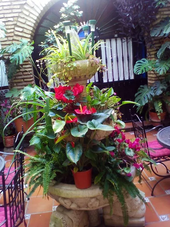 Pension Los Arcos Córdoba 0*,  Spanje