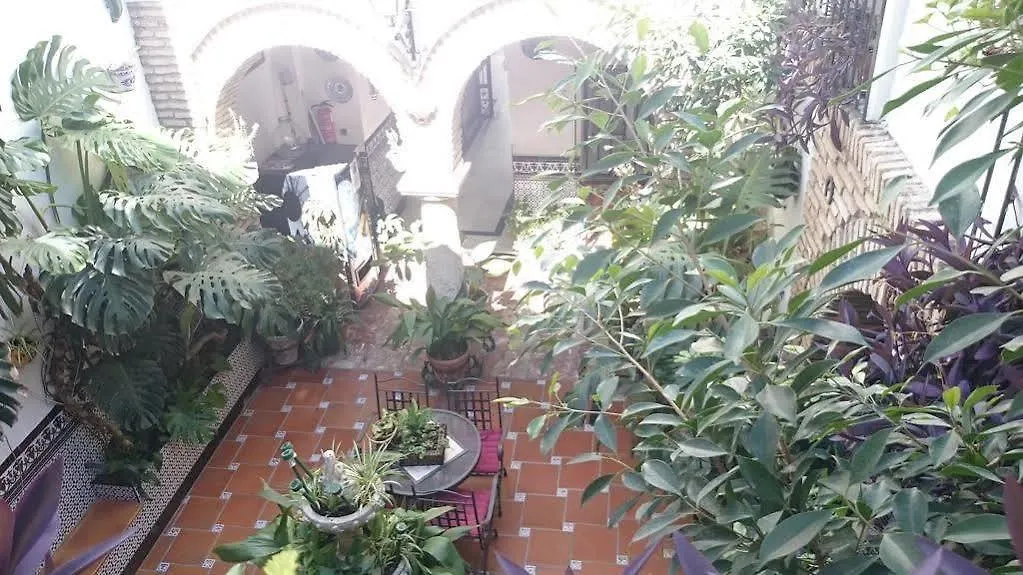 Pension Los Arcos Córdoba