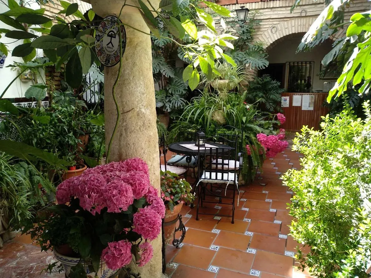Pension Los Arcos Córdoba 0*,