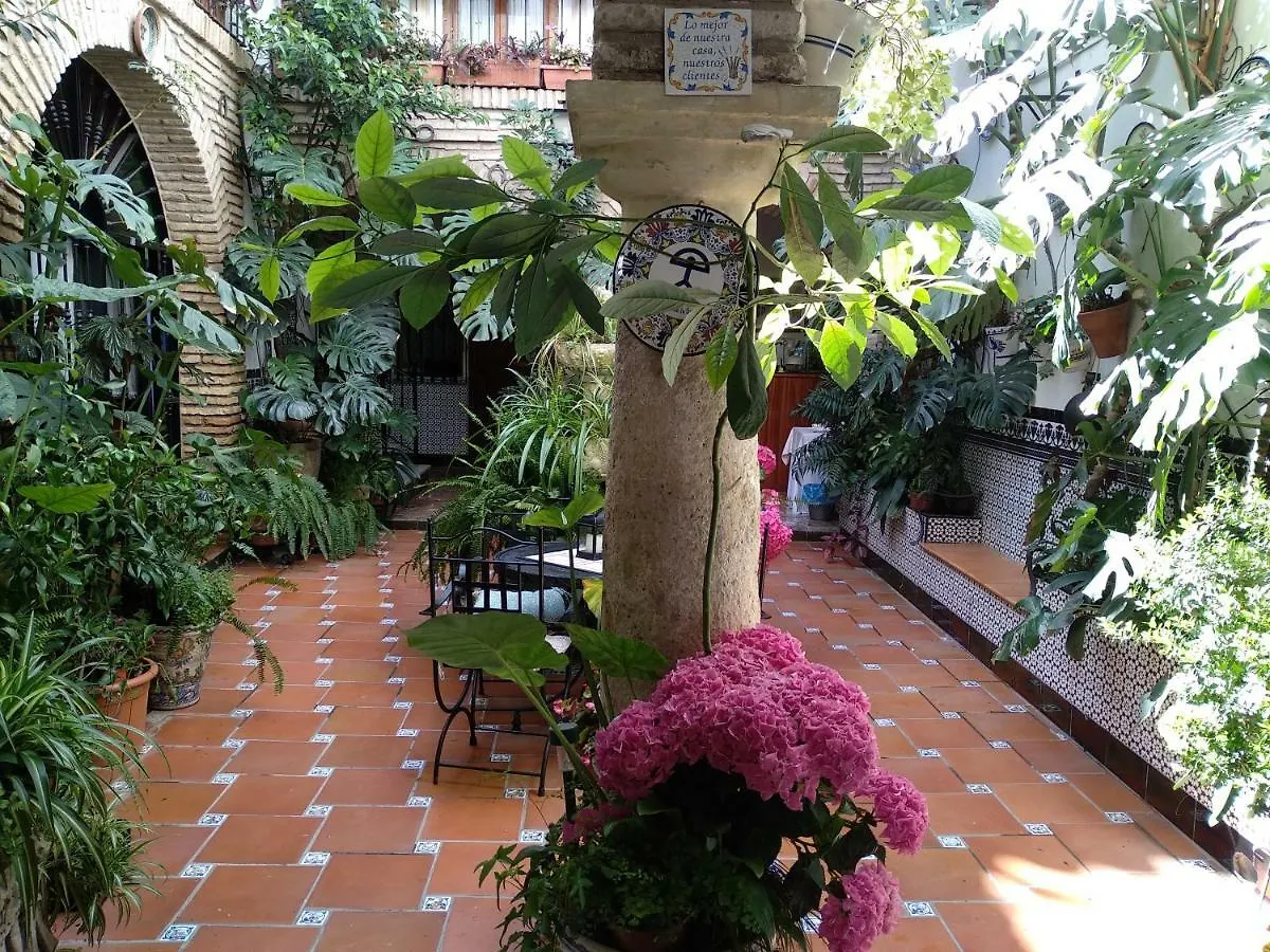 Pension Los Arcos Córdoba Gasthuis