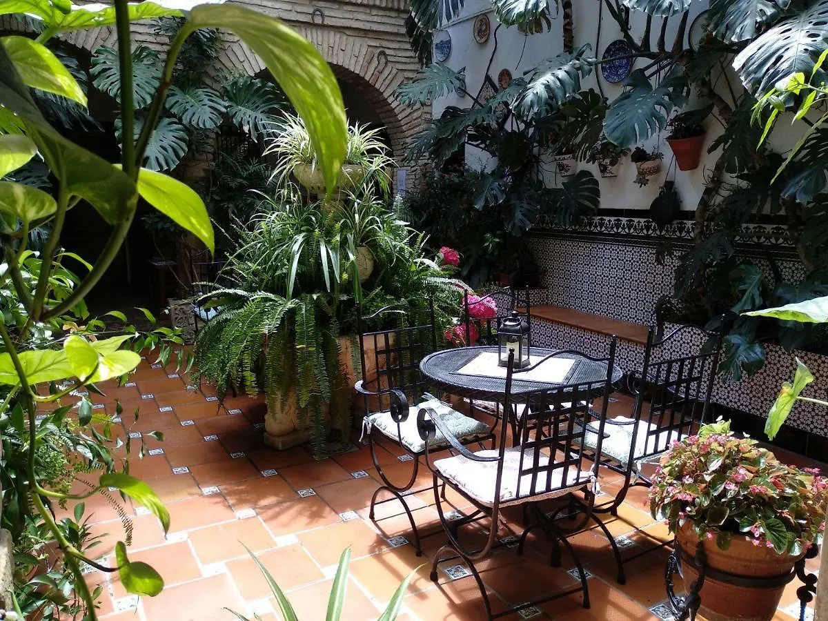 Pension Los Arcos Córdoba Spanje