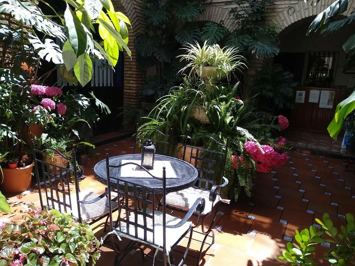 Gasthuis Pension Los Arcos Córdoba