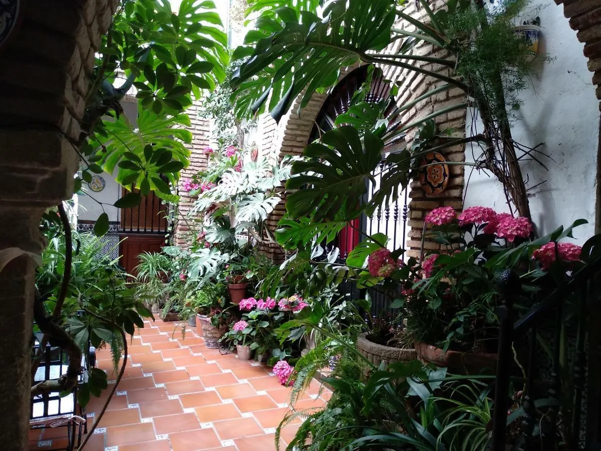 Gasthuis Pension Los Arcos Córdoba