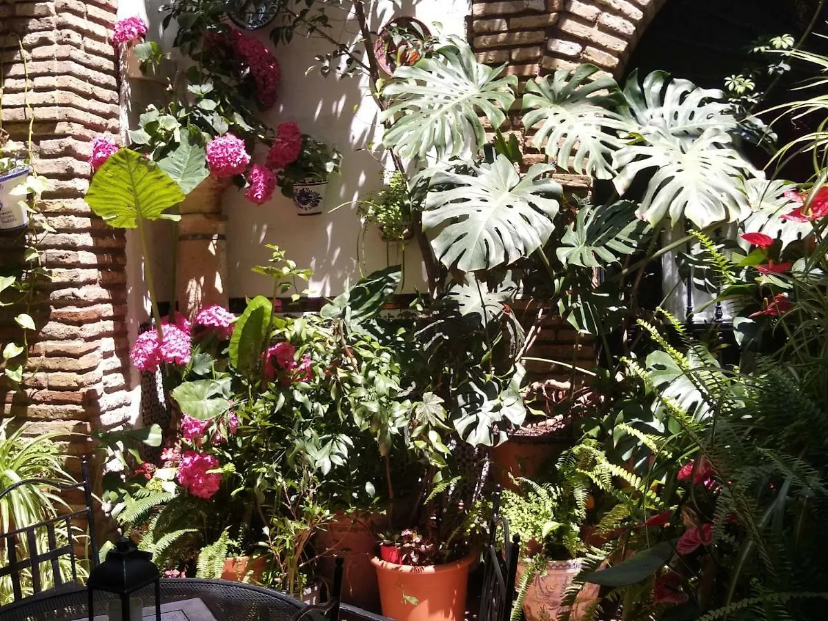 Pension Los Arcos Córdoba Spanje